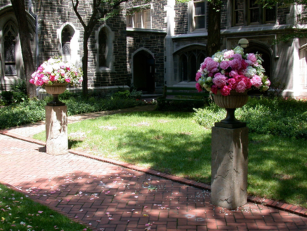A Floral Walkway